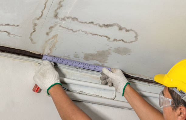 Reliable Water Damage contractor in Brian Head, UT by Water Damage Irwin